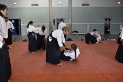 Stage-Aikido-a-Lauzerte-anime-par-Christophe-Bocognani-5eme-Dan-le-06-11-2022197