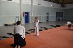 Stage-Aikido-a-Lauzerte-anime-par-Christophe-Bocognani-5eme-Dan-le-06-11-2022216