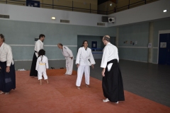 Stage-Aikido-a-Lauzerte-anime-par-Christophe-Bocognani-5eme-Dan-le-06-11-2022237