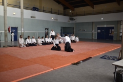 Stage-Aikido-a-Lauzerte-anime-par-Christophe-Bocognani-5eme-Dan-le-06-11-2022238