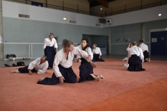 Stage-Aikido-a-Lauzerte-anime-par-Christophe-Bocognani-5eme-Dan-le-06-11-2022245