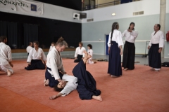 Stage-Aikido-a-Lauzerte-anime-par-Christophe-Bocognani-5eme-Dan-le-06-11-2022248