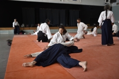 Stage-Aikido-a-Lauzerte-anime-par-Christophe-Bocognani-5eme-Dan-le-06-11-2022261