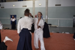 Stage-Aikido-a-Lauzerte-anime-par-Christophe-Bocognani-5eme-Dan-le-06-11-2022280