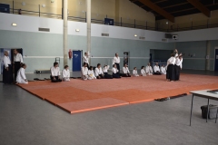 Stage-Aikido-a-Lauzerte-anime-par-Christophe-Bocognani-5eme-Dan-le-06-11-2022296