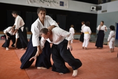 Stage-Aikido-a-Lauzerte-anime-par-Christophe-Bocognani-5eme-Dan-le-06-11-2022307