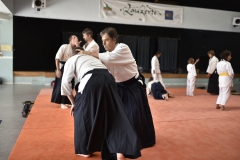 Stage-Aikido-a-Lauzerte-anime-par-Christophe-Bocognani-5eme-Dan-le-06-11-2022308