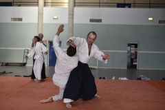 Stage-Aikido-a-Lauzerte-anime-par-Christophe-Bocognani-5eme-Dan-le-06-11-2022311