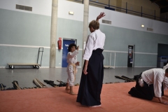 Stage-Aikido-a-Lauzerte-anime-par-Christophe-Bocognani-5eme-Dan-le-06-11-2022326