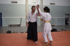 Stage-Aikido-a-Lauzerte-anime-par-Christophe-Bocognani-5eme-Dan-le-06-11-2022328
