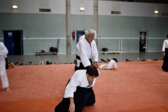 Stage-Aikido-a-Lauzerte-anime-par-Christophe-Bocognani-5eme-Dan-le-06-11-2022399