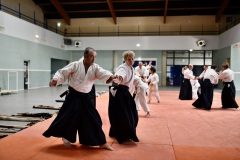 Stage-Aikido-a-Lauzerte-anime-par-Christophe-Bocognani-5eme-Dan-le-06-11-2022428