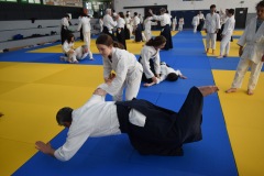 DSC_0332