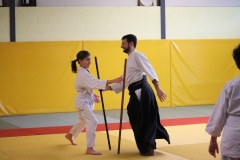 Stage-jeunes-a-Auch-le-3101202699_113