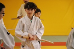 Stage-jeunes-a-Auch-le-3101202699_215