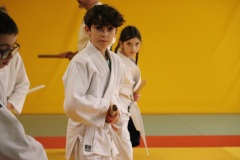 Stage-jeunes-a-Auch-le-3101202699_216