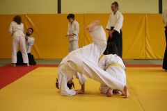 Stage-jeunes-a-Auch-le-3101202699_511