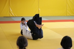 Stage-jeunes-a-Auch-le-3101202699_581