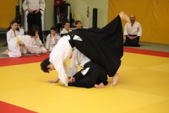Stage-jeunes-a-Auch-le-3101202699_802