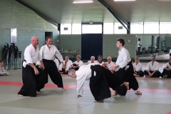 EOS77D-11-10-2025-9228