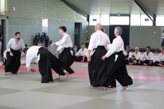 EOS77D-11-10-2025-9249