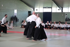 EOS77D-11-10-2025-9251