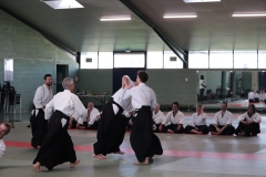 EOS77D-11-10-2025-9257