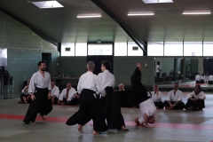 EOS77D-11-10-2025-9259