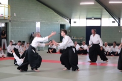 EOS77D-11-10-2025-9273