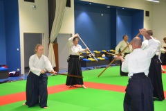 Stage-Aikido-Caussade-2411202428