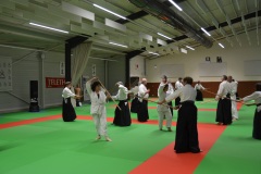 Stage-Aikido-Caussade-2411202434