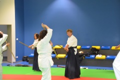 Stage-Aikido-Caussade-2411202435