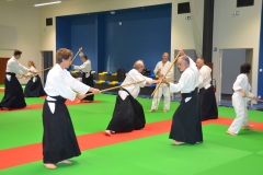 Stage-Aikido-Caussade-2411202437