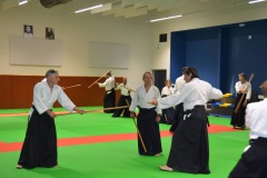 Stage-Aikido-Caussade-2411202440