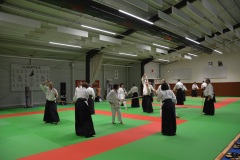 Stage-Aikido-Caussade-2411202442