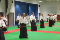 Stage-Aikido-Caussade-2411202463212