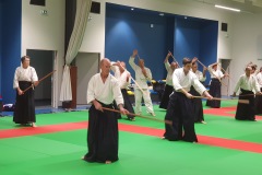 Stage-Aikido-Caussade-2411202463225