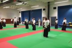 Stage-Aikido-Caussade-2411202463328