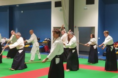 Stage-Aikido-Caussade-2411202463359