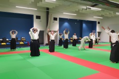 Stage-Aikido-Caussade-2411202470005