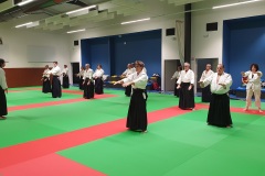 Stage-Aikido-Caussade-2411202470046