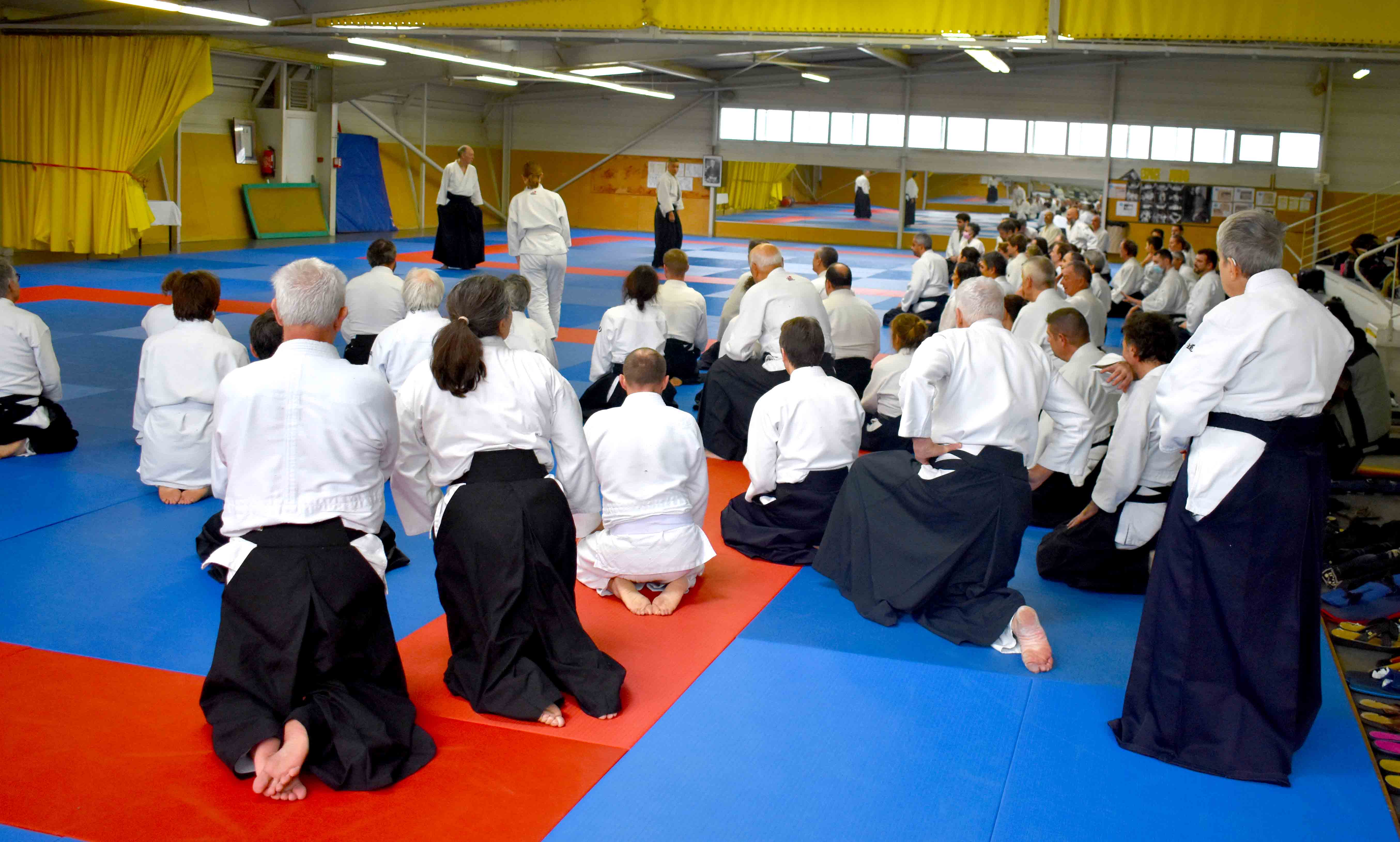 Photos-stage-a-Tournefeuille-anime-par-JF.Fabre-6eme-dan-0171