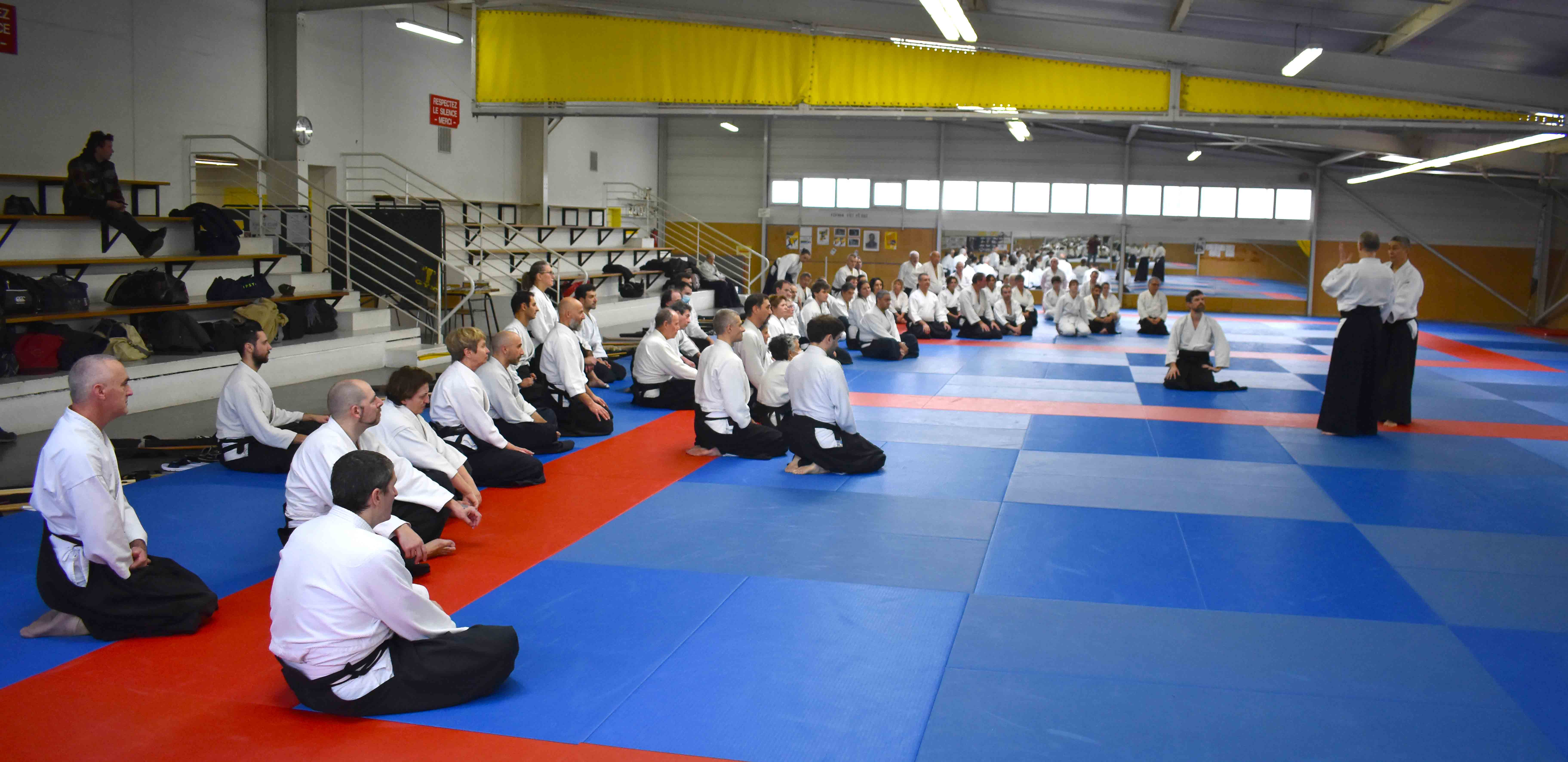 Photos-stage-a-Tournefeuille-anime-par-JF.Fabre-6eme-dan-0180