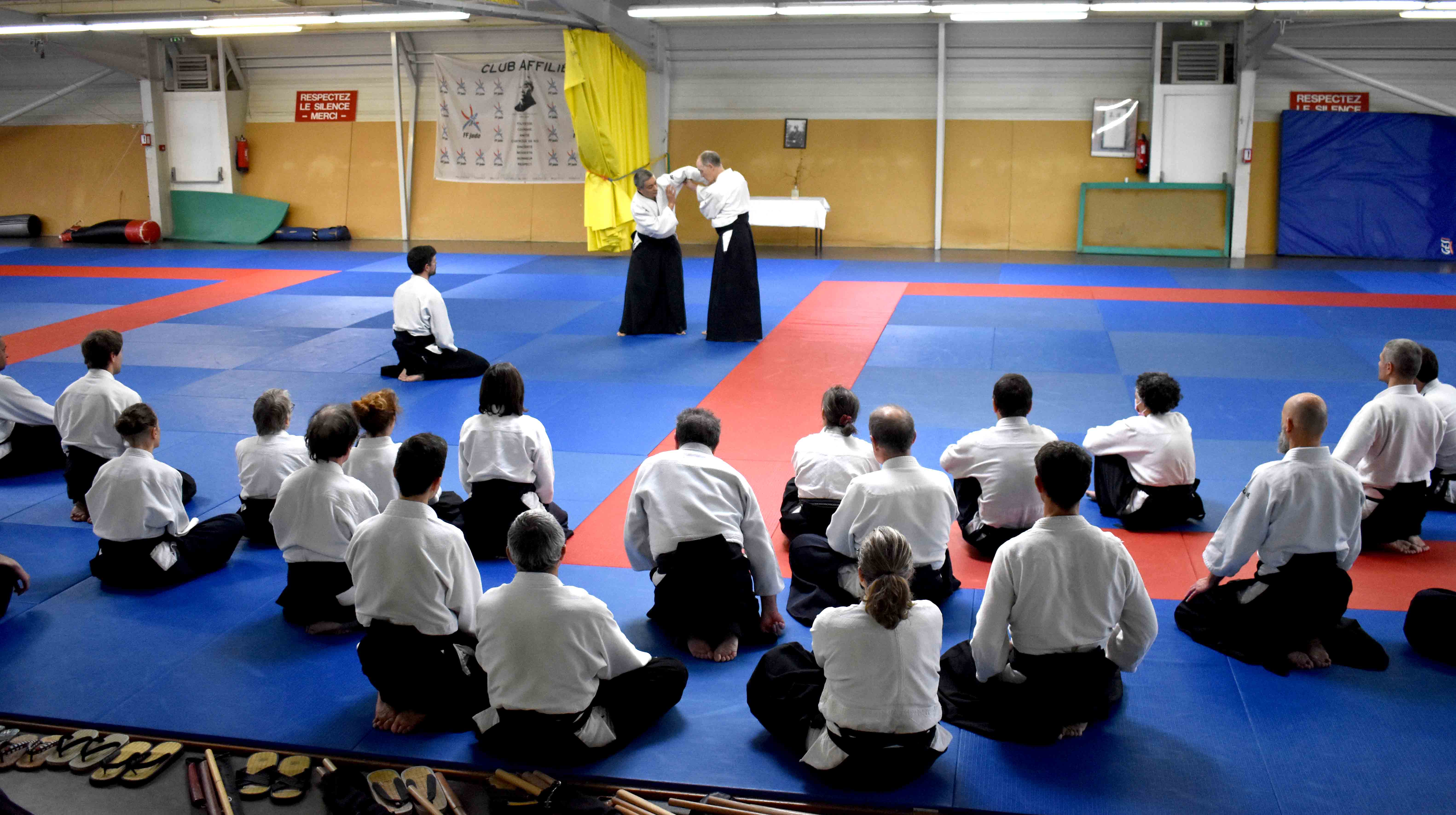 Photos-stage-a-Tournefeuille-anime-par-JF.Fabre-6eme-dan-0183