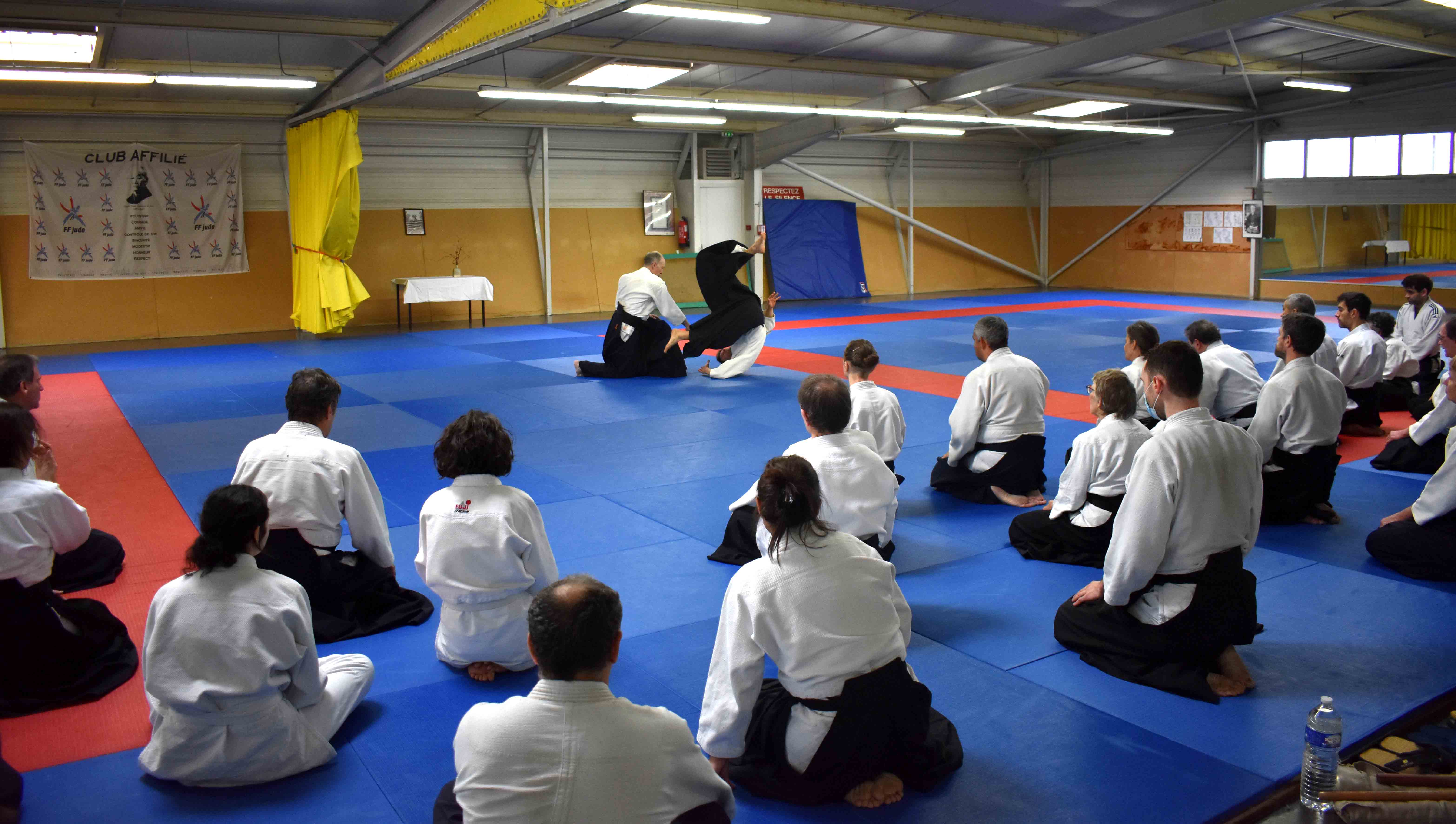 Photos-stage-a-Tournefeuille-anime-par-JF.Fabre-6eme-dan-0193