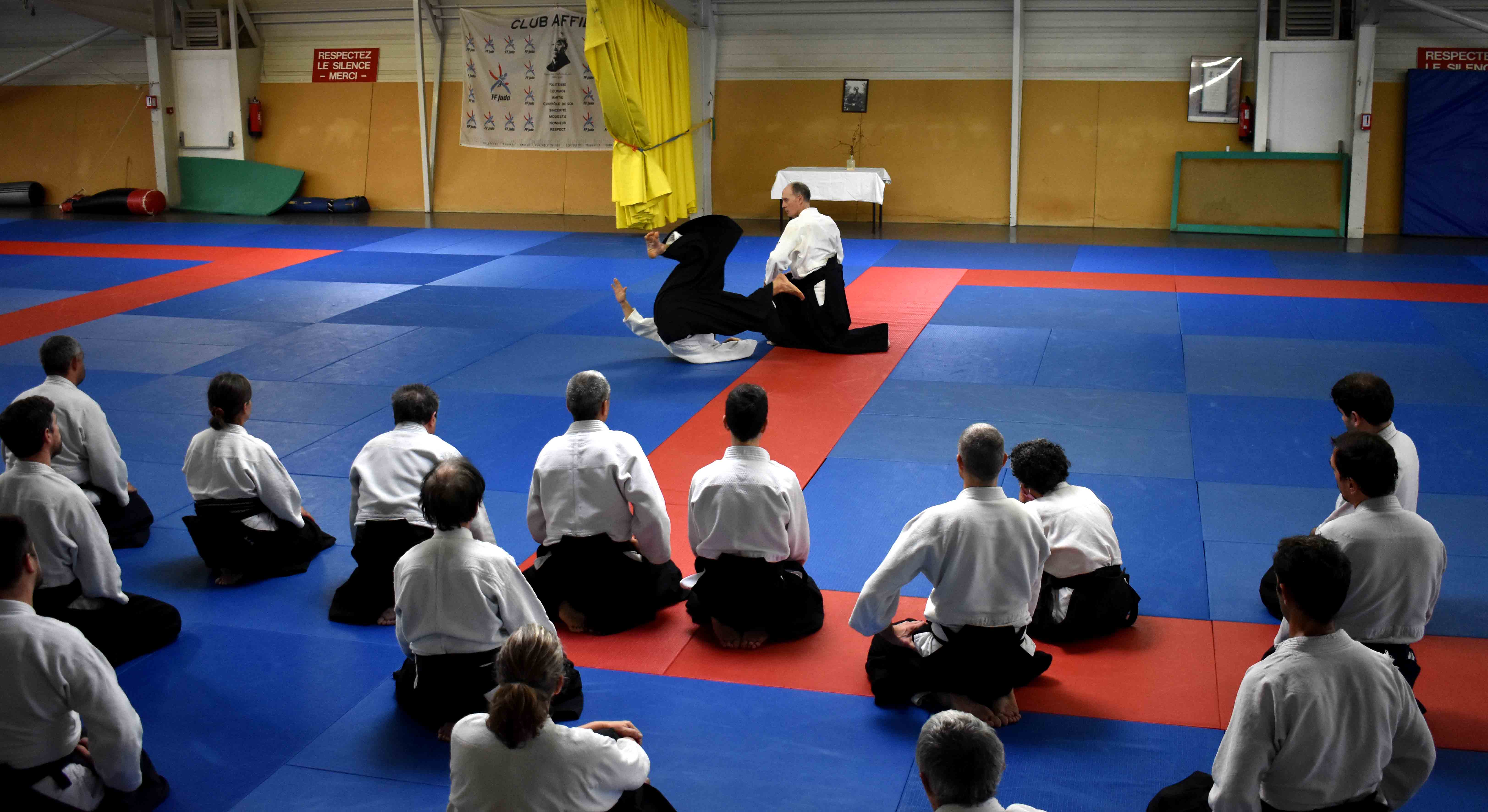 Photos-stage-a-Tournefeuille-anime-par-JF.Fabre-6eme-dan-0197