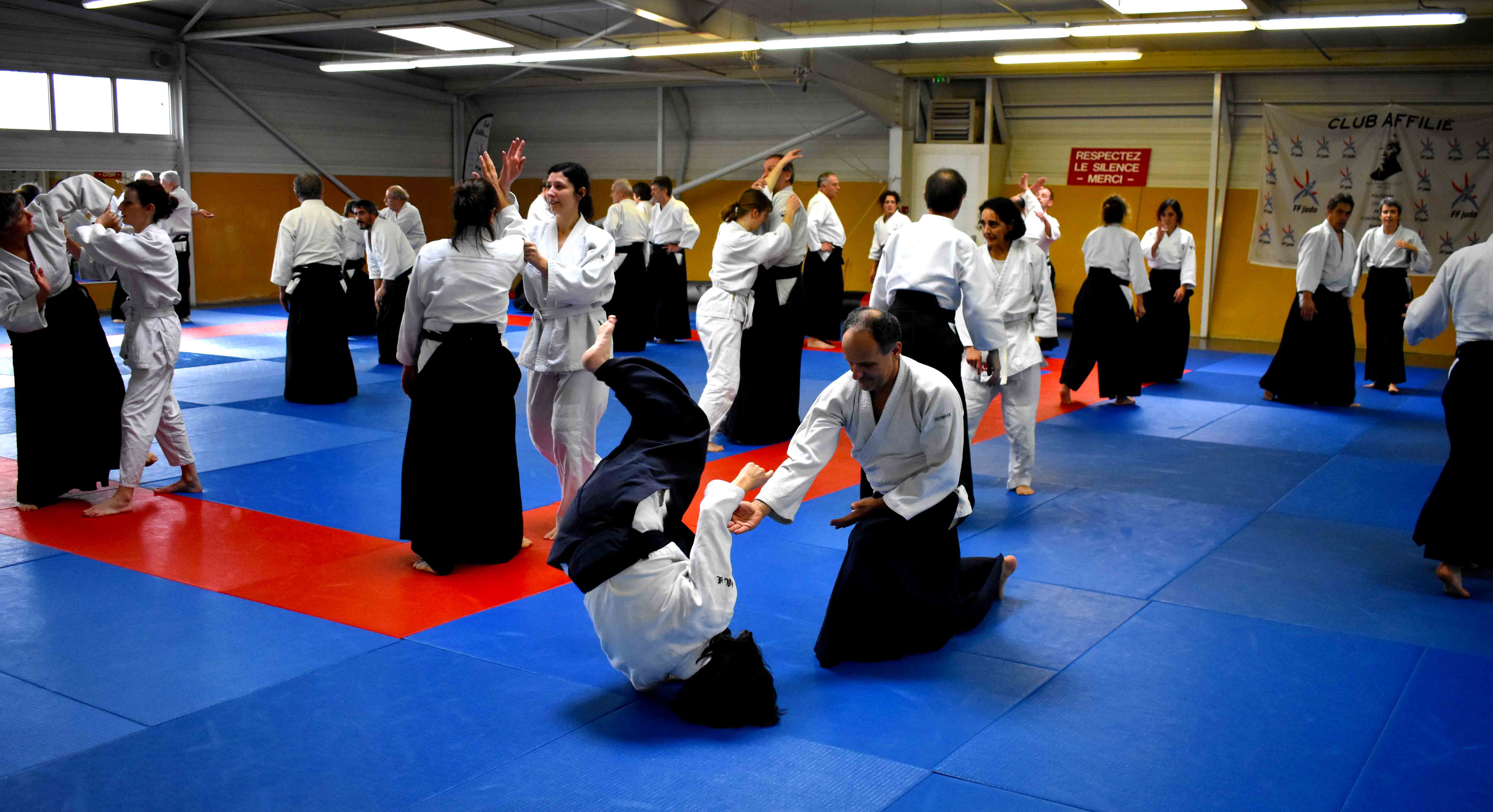 Photos-stage-a-Tournefeuille-anime-par-JF.Fabre-6eme-dan-0204