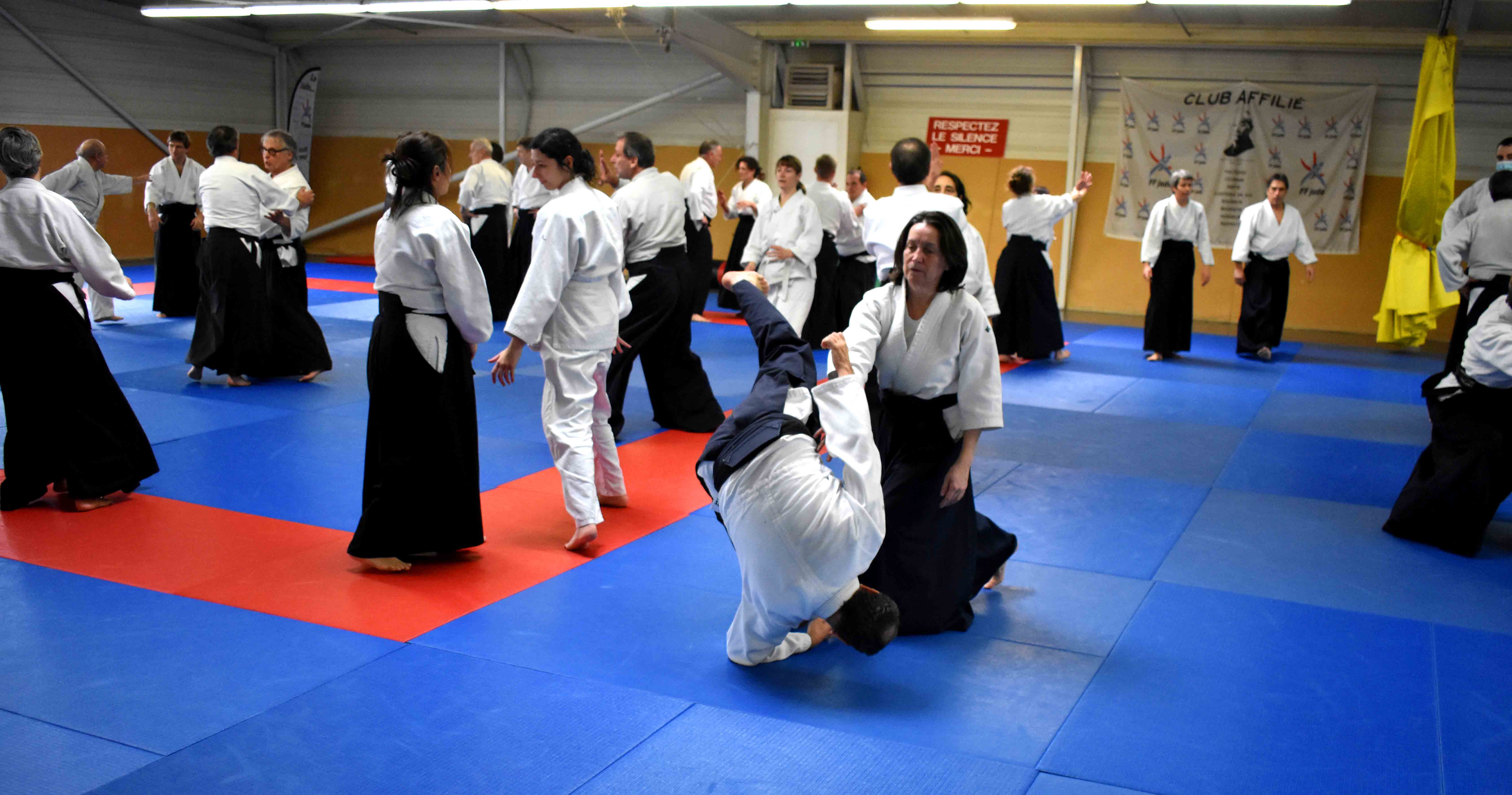 Photos-stage-a-Tournefeuille-anime-par-JF.Fabre-6eme-dan-0207