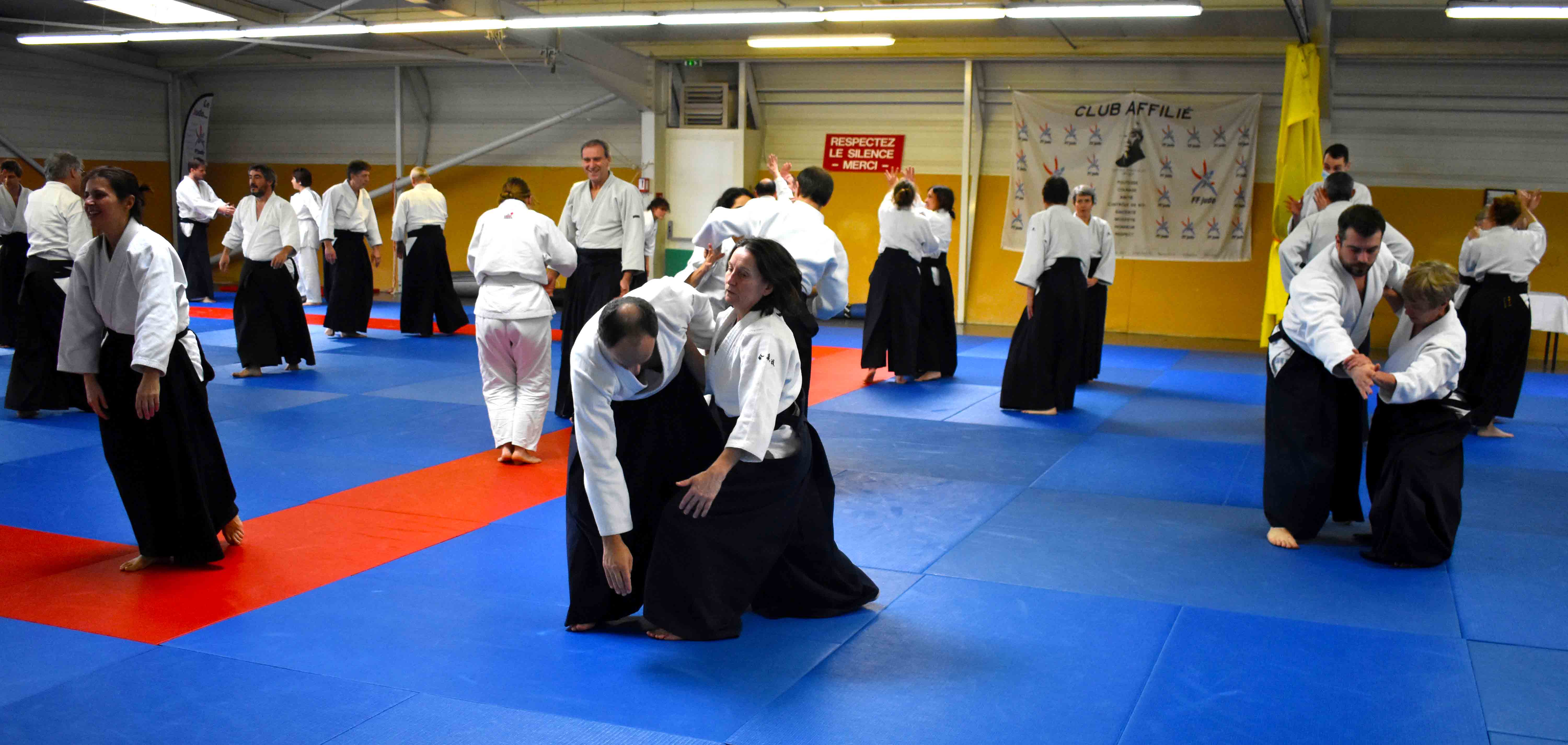 Photos-stage-a-Tournefeuille-anime-par-JF.Fabre-6eme-dan-0210