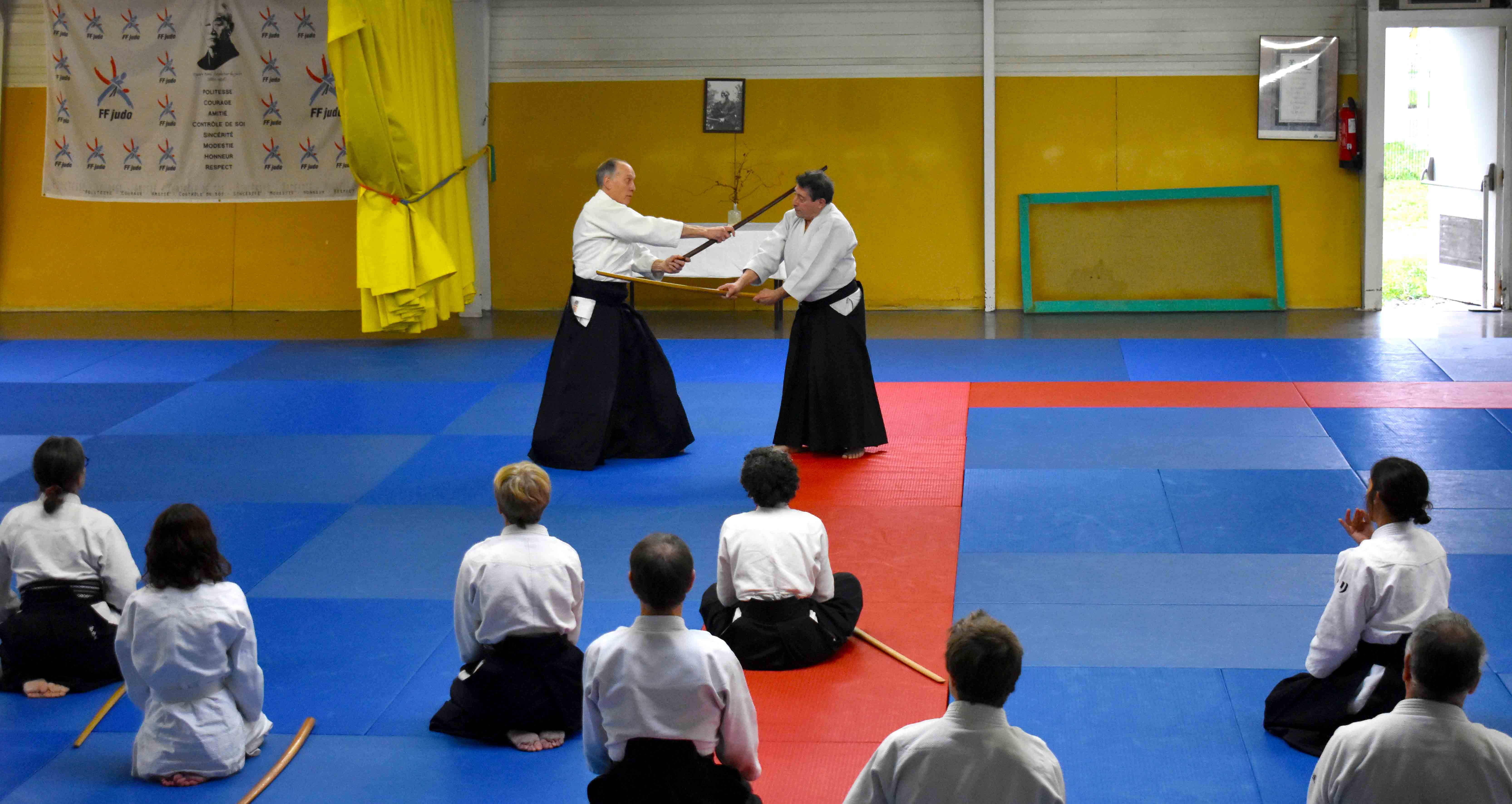 Photos-stage-a-Tournefeuille-anime-par-JF.Fabre-6eme-dan-0242